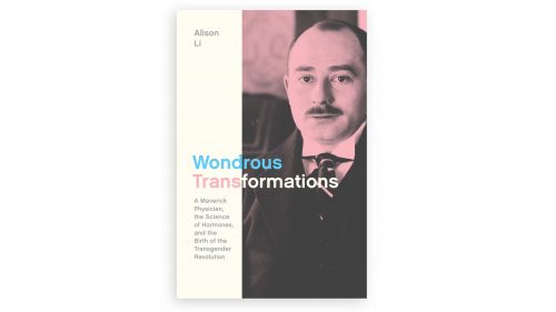 Book cover for Wondrous Transformations
