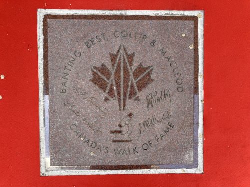 Insulin discoverers honoured in Canada’s Walk of Fame
