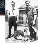 NPR logo - Banting and Best